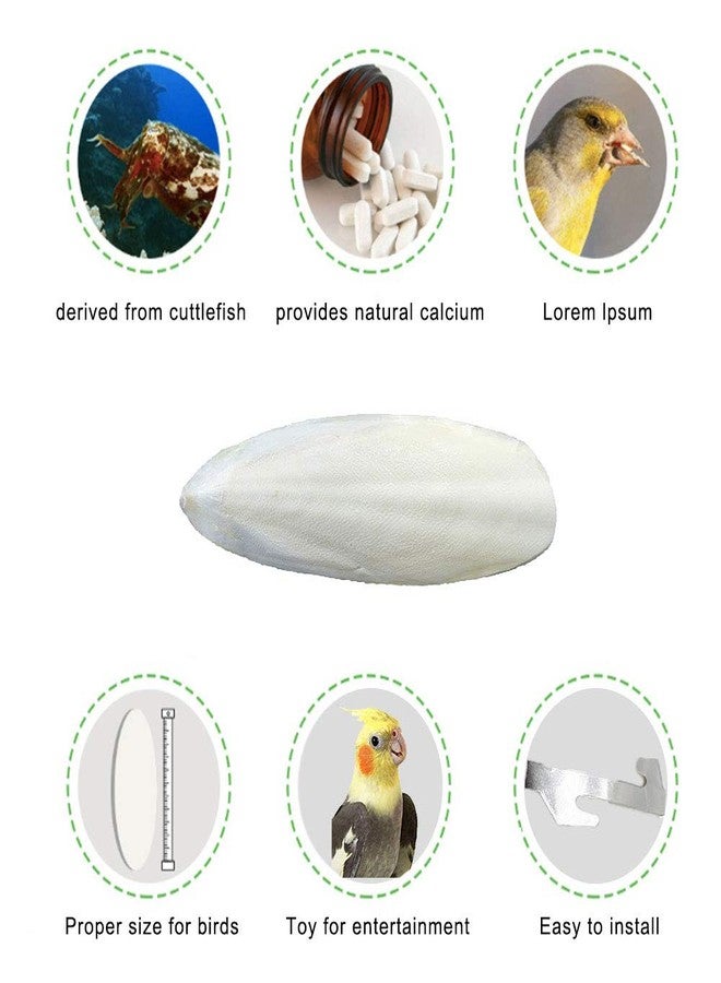 Mivofun 2 Pack Big Cuttlebones for Birds Parakeets Cockatiels African Greys All Parrots Tortoise Snails Animals, 6.3-6.5inch Large Cuttlefish Bones with Holder for Bird Cage - Image 4
